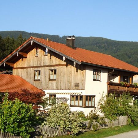 Apartment Andrea - Chiemgau Karte Inzell Zewnętrze zdjęcie