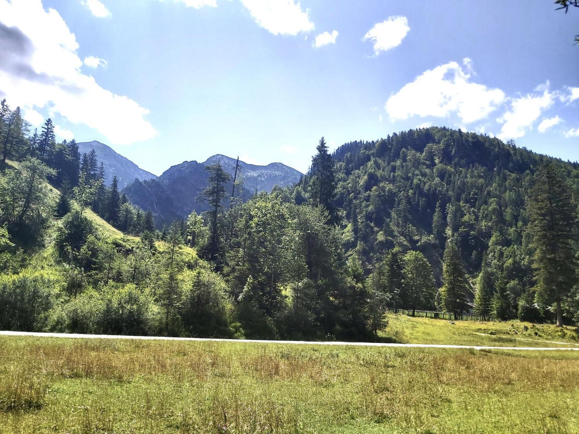 Apartment Andrea - Chiemgau Karte Inzell Zewnętrze zdjęcie