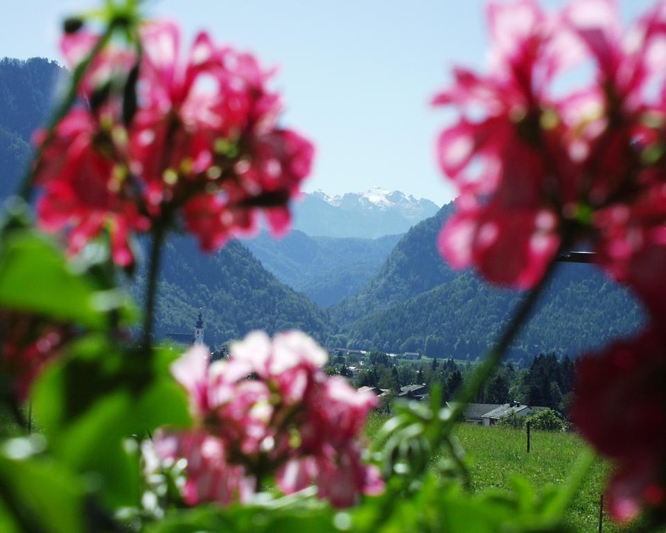 Apartment Andrea - Chiemgau Karte Inzell Zewnętrze zdjęcie