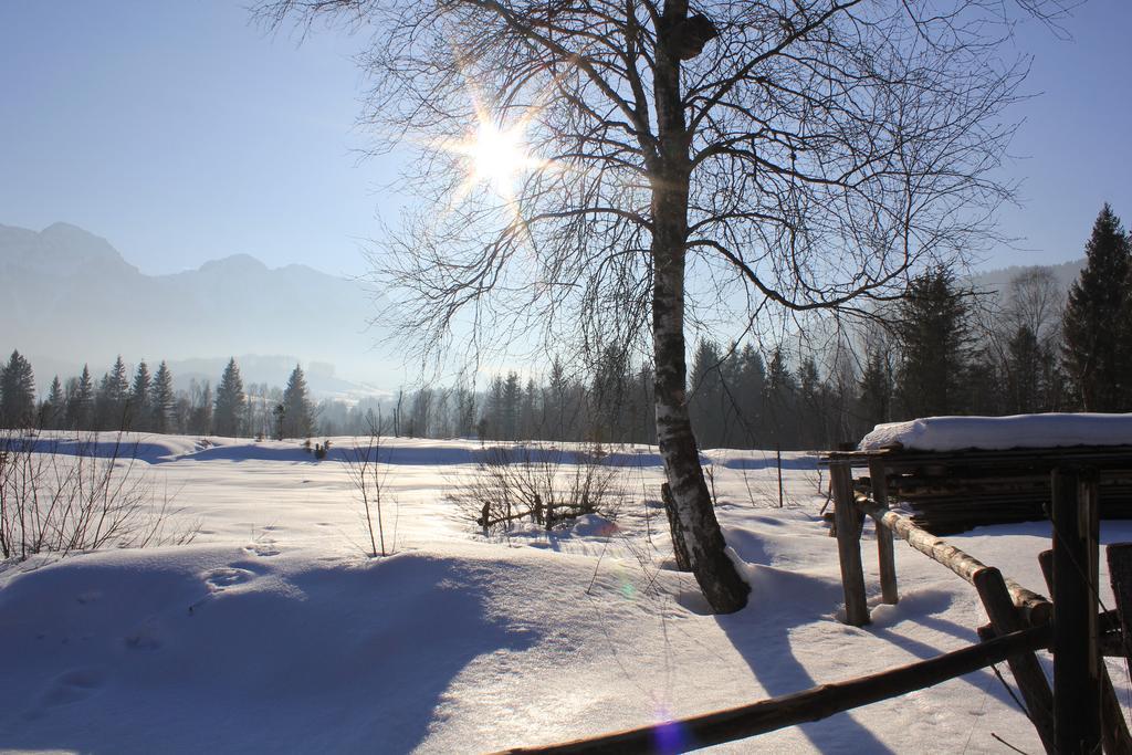 Apartment Andrea - Chiemgau Karte Inzell Zewnętrze zdjęcie