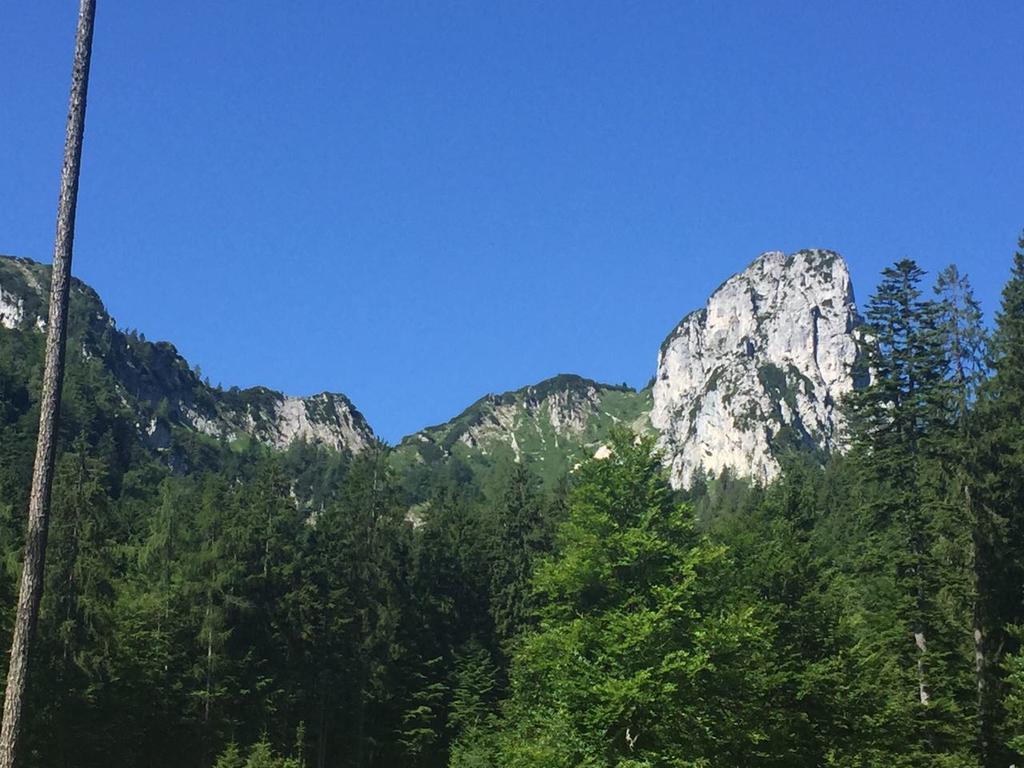Apartment Andrea - Chiemgau Karte Inzell Zewnętrze zdjęcie