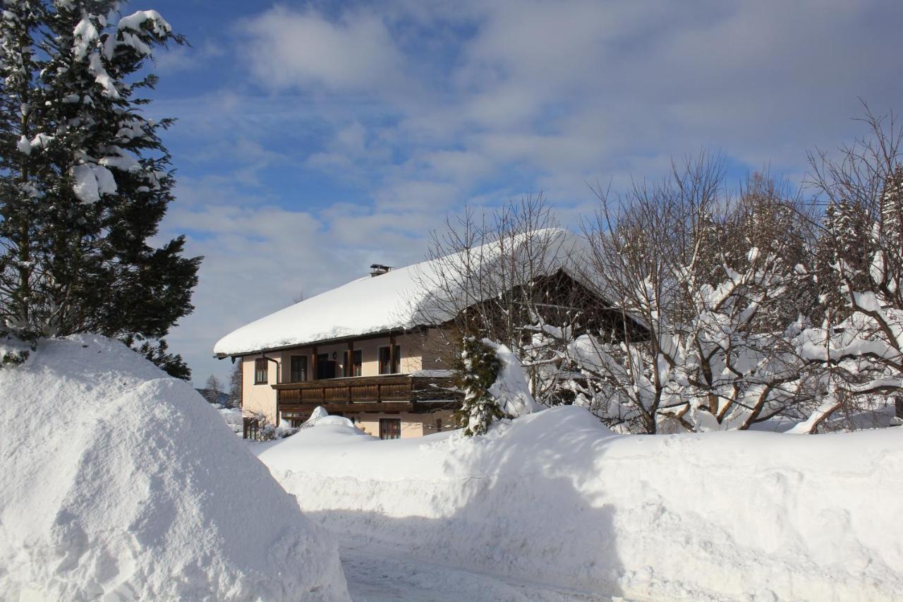 Apartment Andrea - Chiemgau Karte Inzell Zewnętrze zdjęcie