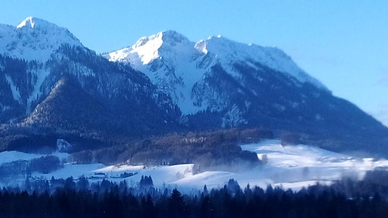 Apartment Andrea - Chiemgau Karte Inzell Zewnętrze zdjęcie