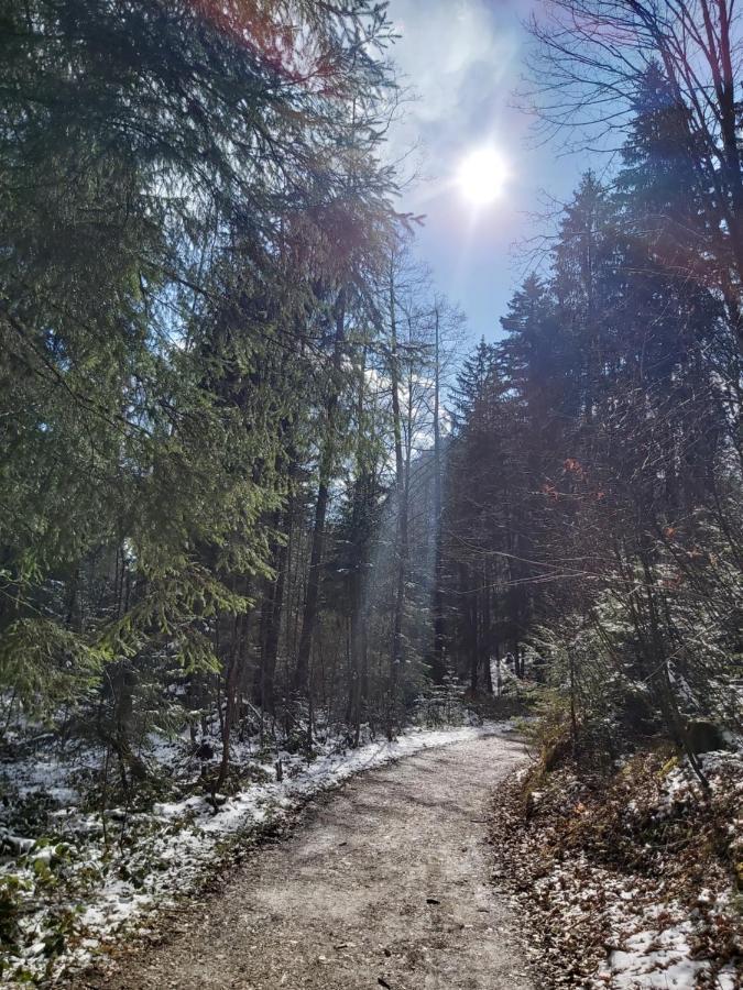 Apartment Andrea - Chiemgau Karte Inzell Zewnętrze zdjęcie